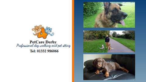 4 Paws Pet Care Derby Ltd photo